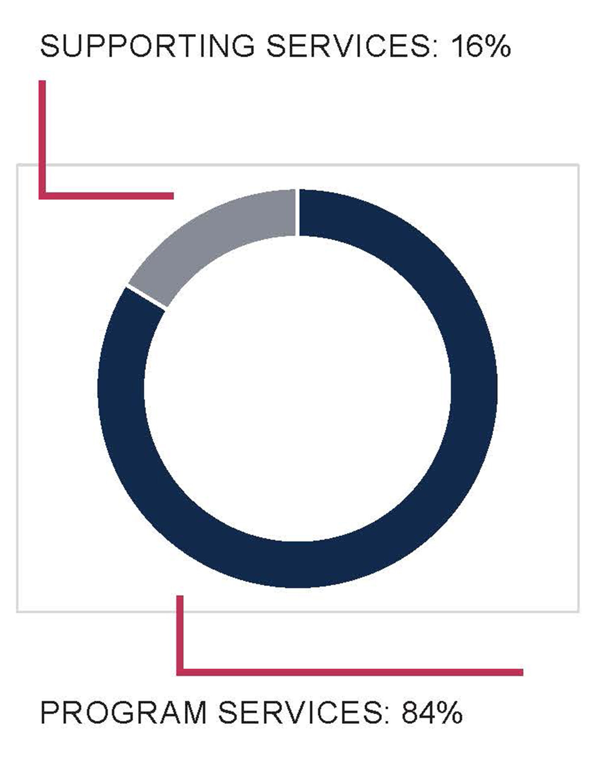 Pie chart showing that 16% of DRM's expenses were for supporting services and 84% were for program expenses.